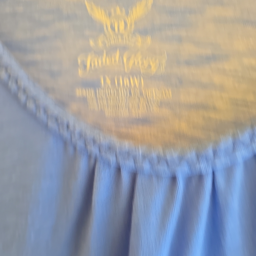 Faded Glory Blue Pleated Top